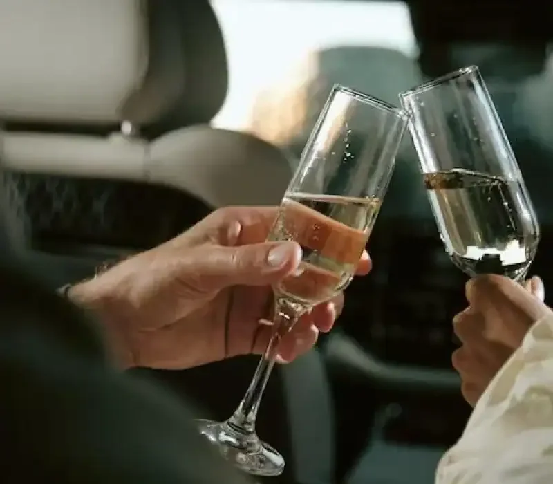 Luxury & VIP Airport Transfers in St. Lucia (3)